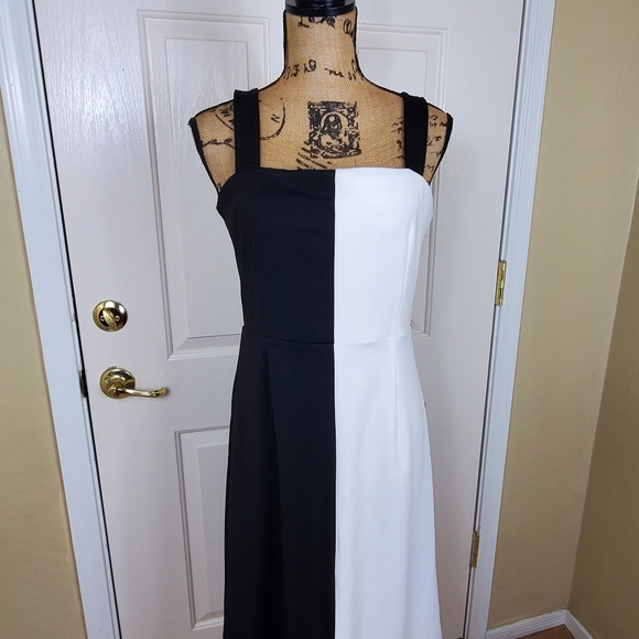 Alexia AdmorMarissa Two Tone Midi Dress - Picture 3 of 11